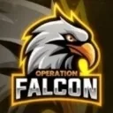 Operation Falcon