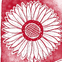 Annihilation Nation