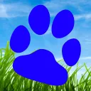 Pawtropolis™