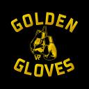 Golden Gloves VR icon