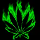 Weed KalOnline