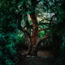 Mono's Forest Realm