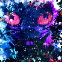❄𝓑𝓻𝓮𝓪𝓴𝓲𝓷𝓰 𝓑𝓮𝓪𝓻𝓼 ❄