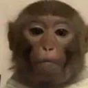 Chodampatti Discord Server Icon