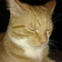 FortNuts Rust Gaming
