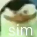 Pedro Tutoriais