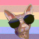 House of Bingus avatar