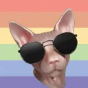 House of Bingus Discord Server Icon