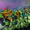 『The Turtle Terrarium』 Discord Server Icon