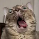 Gumbusville, Home of the Gumfo... Discord Server Icon