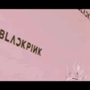 𝙱𝙻𝙰𝙲𝙺 𝙿𝙸𝙽𝙺