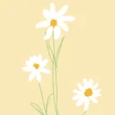 Daisy ૮₍ ˃̵͈᷄ . ˂̵͈᷅ ₎ა