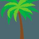 Florida Bikelife Discord Server Discord Home