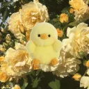 𝛝𝛠   ⁺   𝓝𝑒k𝑜u   ₊   🌻