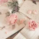 𝓦𝓱𝓸𝓻𝓮 𝓗𝓸𝓾𝓼𝓮