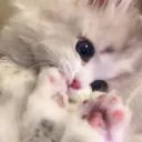 폐업 스튜디오
