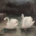 Allure Discord Server Icon