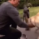 Barking Hold