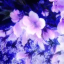 Lilac Garden (18+)