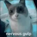 Selcouth (tuki) Discord Server Icon