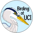 Birding at UCI