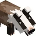 BadgerCraft