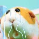 めいかちゃん鯖