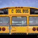 #P-24 BUS GG