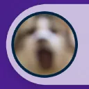 𝒌𝒐𝒅𝒂'𝒔 𝒇𝒐𝒄𝒖𝒔