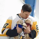 hockey likers