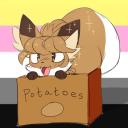 FIDDLEAFOX FUN PRITON