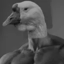 Клуб Гусей