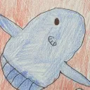 Ocean Sunfish World