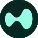 Hyperliquid icon