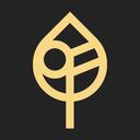 The Forest Discord Server Icon