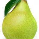 The Pear Farm