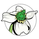 Dogwoods-App