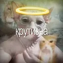 кру♰izna