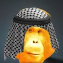 The Ibrahim Fan Club