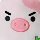 The Squish Society