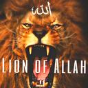 المجاهدون - Lions of Allah Discord Server Icon
