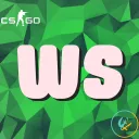 WesT StaB- Team CS:GO