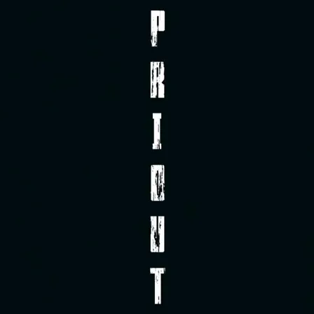 PRIOUT — Дискорд Сервер