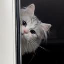 Soresa Island☄.*.⋆