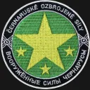 Chernarus Defense Force