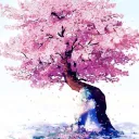 Sakuranoki