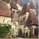 Village Life Discord Server Icon