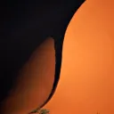 TornadoACO - Official Botting Service