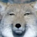 もふもふっていいよね(ゲーム用鯖)
