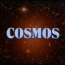 Cosmos Skin Support